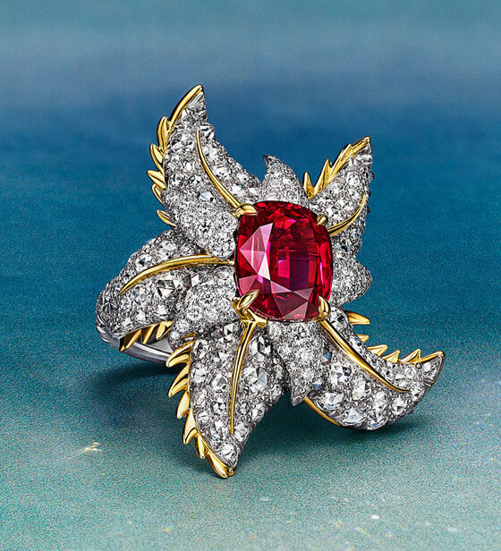 مجموعة مجوهرات “Sea of Wonder” من Tiffany & Co