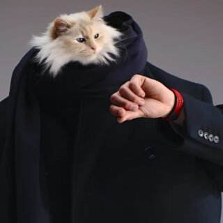 أسبوع الموضة في دبي ينطلق في سبتمبر لموسم ربيع وصيف 2026