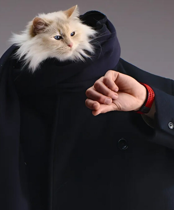 القطة Choupette وجه حملة Hublot لذكرى Big Bang العشرين