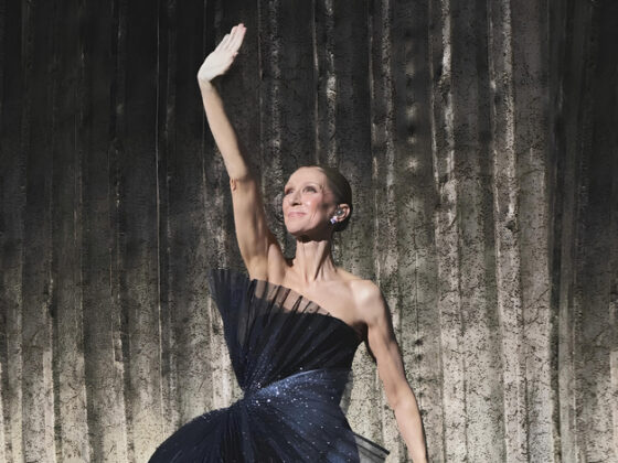 Celine Dion بإطلالة نحتية من Dior في حفلها بباريس