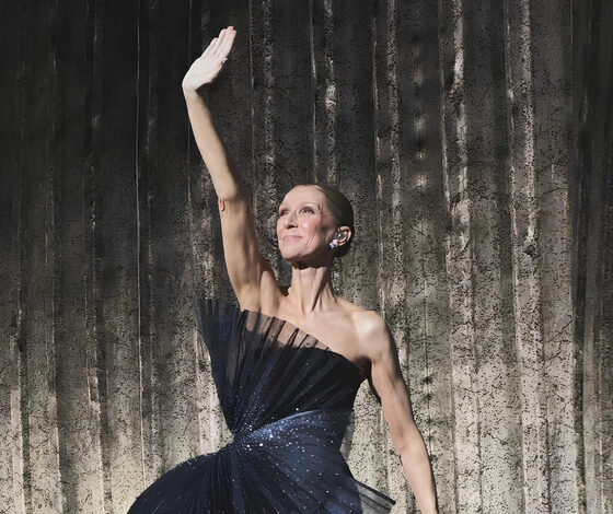 Celine Dion بإطلالة نحتية من Dior في حفلها بباريس